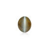 CE000065_1