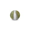 CED000212_1
