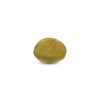 CED000234_2