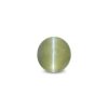 CED000240_1