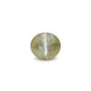 CED000252_1