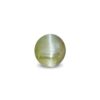 CED000253_1