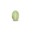 CED000256_1