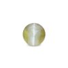 CED000257_1
