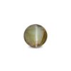 CED000259_1