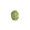 CED000262_1
