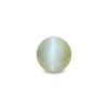CED000265_1