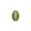 CED000266_1