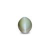 CED000268_1