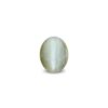 CED000270_1