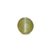 CED000292_1