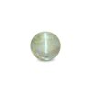CED000299_1