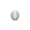 CED000317_1