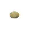 CED000319_2