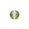 CED000321_1