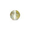 CED000332_1