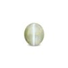 CED000346_1